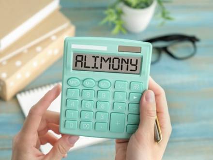 Kane County, IL alimony lawyer